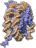 molecule image