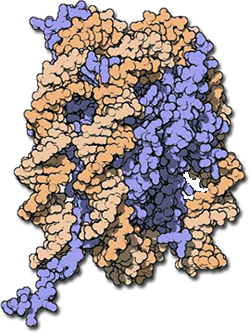 molecule image